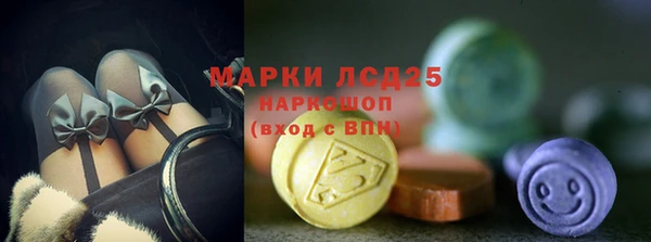 ECSTASY Медногорск