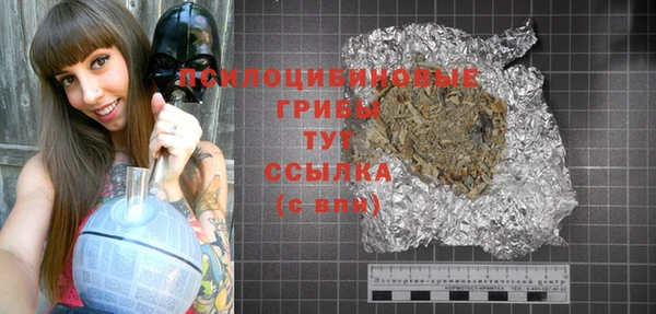 ECSTASY Медногорск