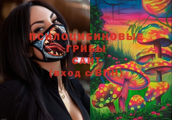 ECSTASY Медногорск